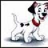 dalmidog