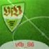 vfb_86