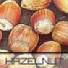 hazelnut