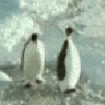 icepic
