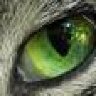 tigerauge