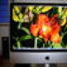 apple 306