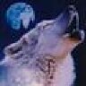 wolfer0950