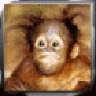 Motsche