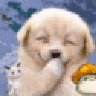 luwi