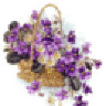 bettina6201