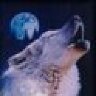 wolf2210