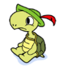 Heroturtle