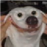 nemlin