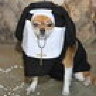 Peter210659