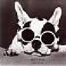 [KDog]