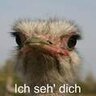 germanhuman