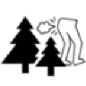 flatusinsilva
