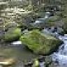 bachstein