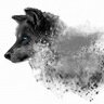 Aardwolf