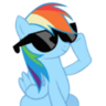 dashie