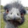 13lackEagle