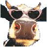 MupdiKuh