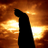 The Dark Knight