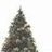 Spruce
