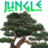 jungle2