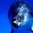 littledolphin