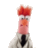 Beaker