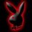 Snoopylein