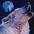 wolfer0950