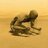 umut_cml