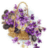 bettina6201