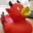 Ducky0606