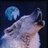 wolf2210