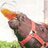 Randy1