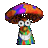 TomNovy