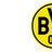 BVB09