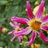 Phil_47