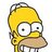 homer710