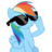dashie