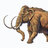 Mammut