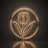 die-tulpe
