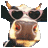 MupdiKuh