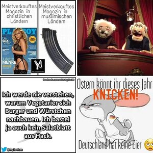 meine Lieblingsbilder