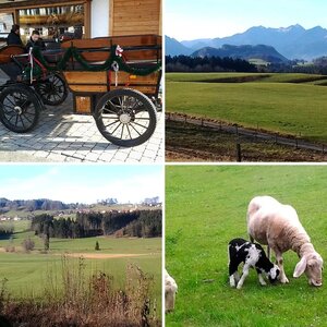 Chiemgau-Impressionen