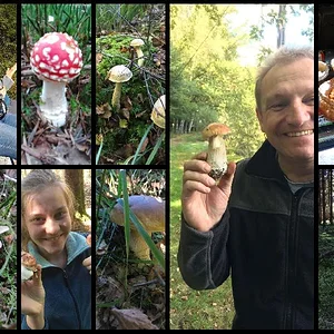 Impressionen aus dem Wunderland der Pilze - Saison 2016