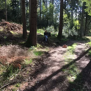 Auf der Pilz-Jagd
