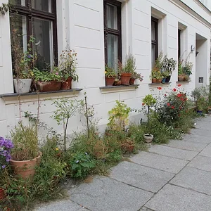 Auf Dauer setzt sich Grün durch
