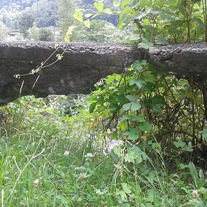 dolce vita - alte Mauer, Blick auf den Fluss "Brenno"