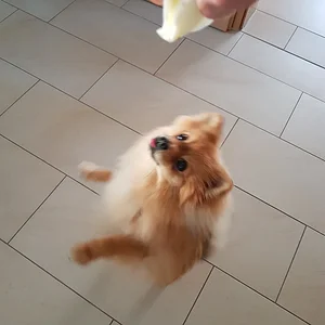 Hunger