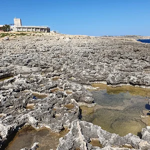 Malta